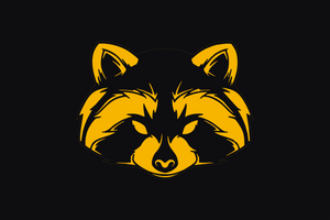 VARVAR x combat raccoon фото